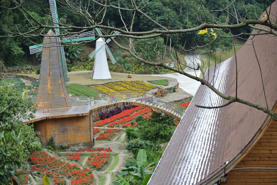 广东| 广州 二龙山花园,徜徉花海之旅