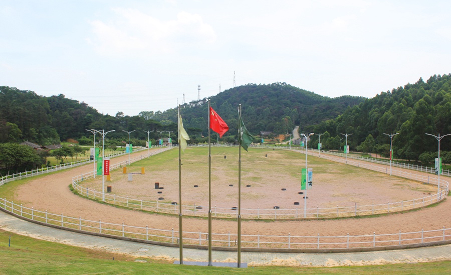 广东| 广州 花都御盛马场,山野体验驰骋乐趣