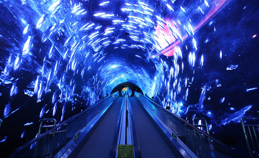 正佳极地海洋世界预订_地址_价格查询-【要出发, 有品质的旅行】